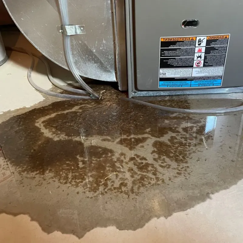 Pipe Burst and Leak Restoration in Newport, RI