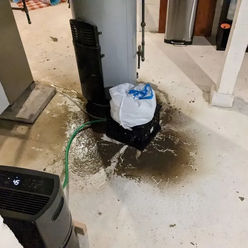 Sewage Backup Cleanup Service in Newport, RI